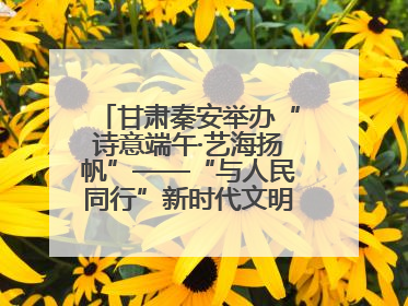 甘肃秦安举办“诗意端午·艺海扬帆”——“与人民同行”新时代文明实践文艺志愿服务活动